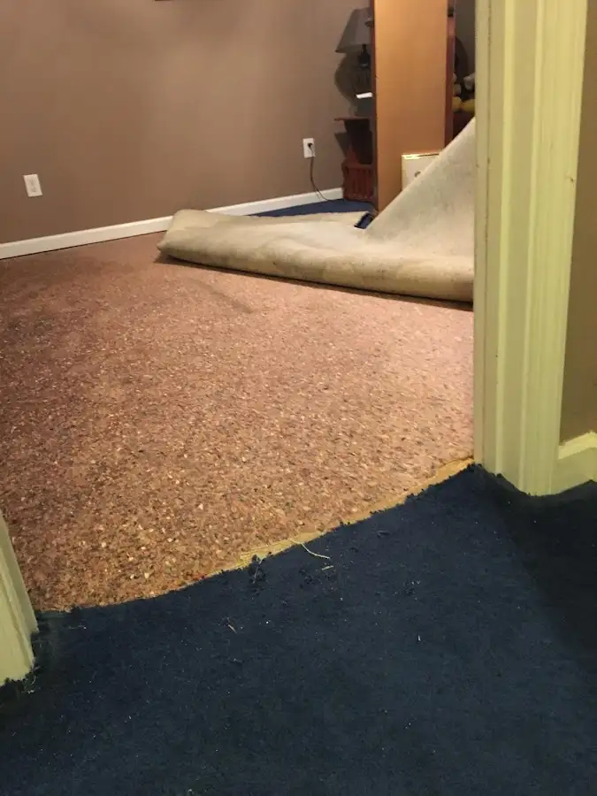 Carpet pad removal revealing water damage during Drying & Dehumidification in Elsmere