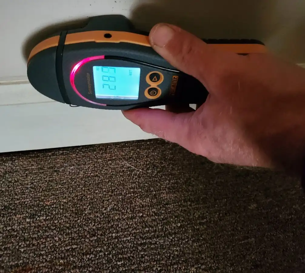 Moisture detection at baseboard during Mold Inspection & Testing in Elsmere